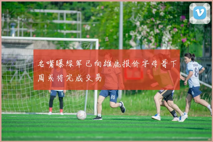 名嘴曝绿军已向雄鹿报价字母哥下周或将完成交易