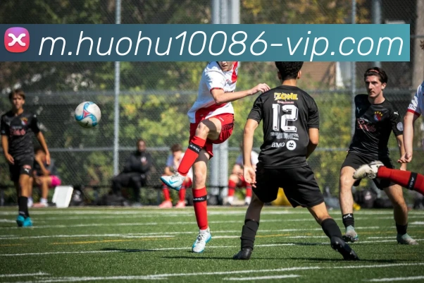 平台使命图